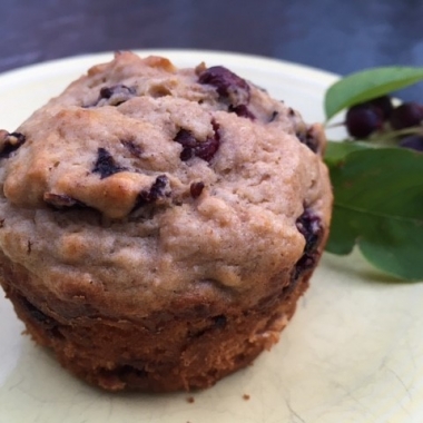 Picture of muffin
