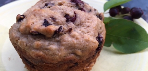 Picture of muffin